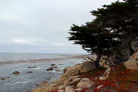 ��������� ����������